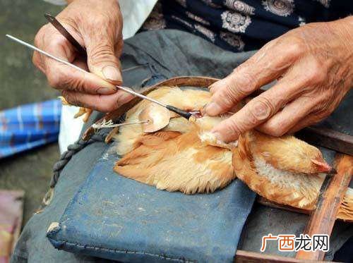 阉鸡怎么做好吃,生鸡公和阉鸡公的区别？