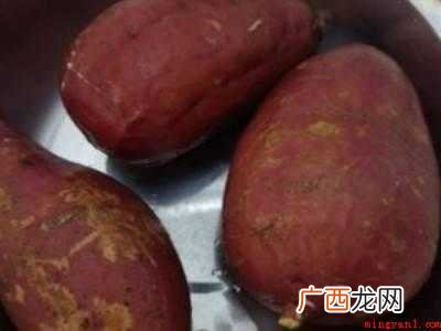 红薯煮多久