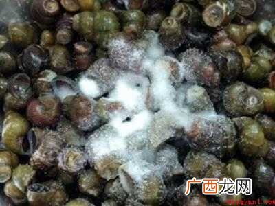 田螺如何清洗干净