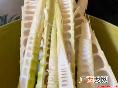春笋如何剥皮