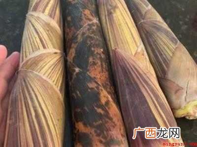 春笋如何剥皮