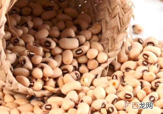 眉豆和白扁豆营养价值区别 眉豆和白扁豆的区别