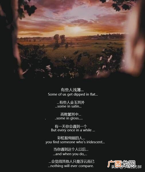 女生发斯人若彩虹是什么意思,斯人若彩虹，遇上方知有是什么意思？