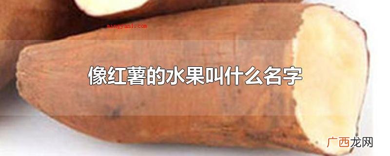 像红薯的新鲜水果叫什么 像红薯的水果叫什么名字
