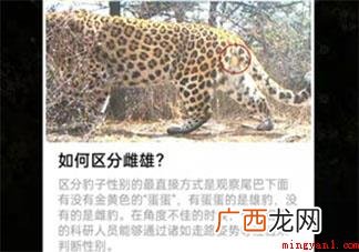 2022蚂蚁森林和顺保护地问题答案全集 2022蚂蚁森林和顺保护地问题答案大全