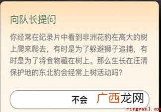 生长在汪清保护地的东北豹会经常上树活动吗