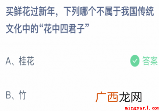 买鲜花过新年以下哪一种绿色植物不是花中四君子 买鲜花过新年下列哪种植物不是花中四君子
