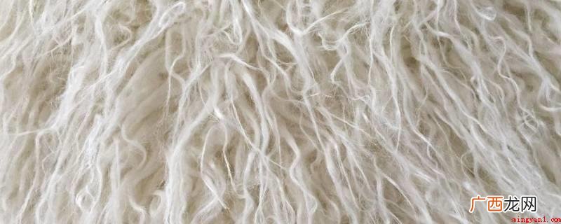 80羊毛的区别是什么? 80羊毛和100羊毛的区别