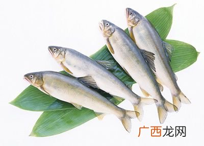 五大家鱼是哪五种鱼,鱼也有味觉吗？