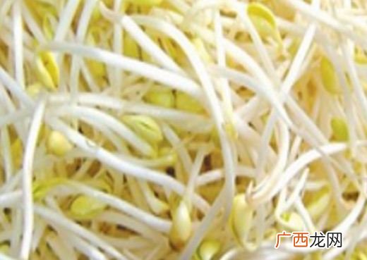 芽菜有哪些种类,盐菜和芽菜的区别？