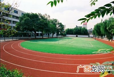 优美的环境描写段落,雨的环境描写优美段落？
