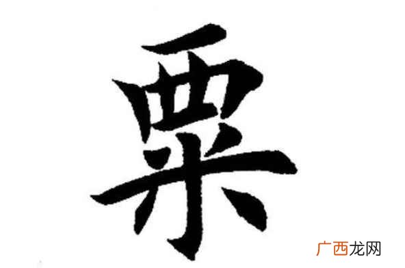 粟读音为s,泛指谷子,去壳后叫小米。也有俸禄的意思 粟怎么读