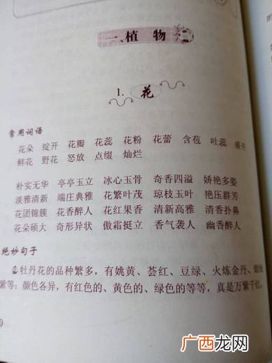 二字好词,好词摘抄大全二字词语？