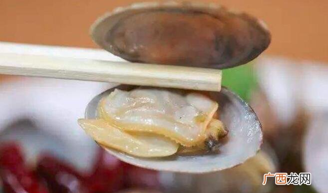 海虹和蚬子的营养价值区别 海虹和蚬子的区别