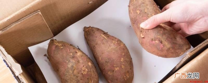红薯的保存方法有哪些? 红薯怎么储存不容易坏