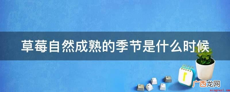 草莓苗的挑选方式有哪些? 草莓自然成熟的季节是什么时候