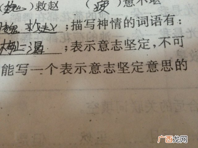 坚强强硬意思的词语是什么,顽强是什么意思？