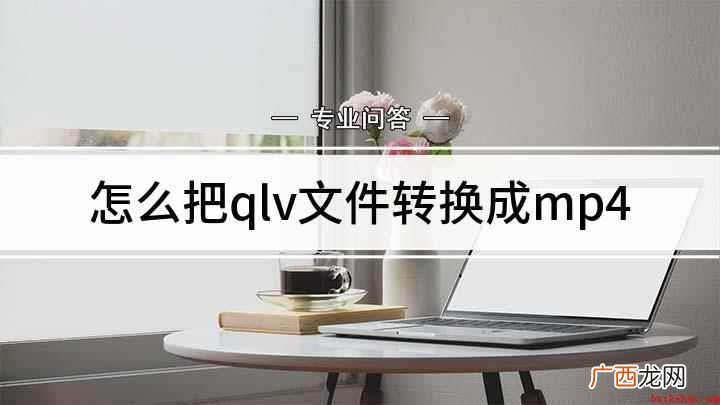 Windows 10迅捷视频转换器 怎么把qlv文件转换成mp4