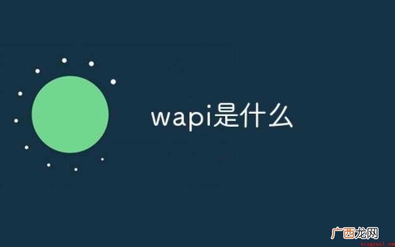 wapi是什么东西