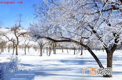 冬天 忽如一夜春风来是描写的什么季节？