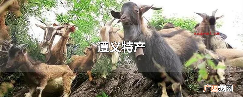 遵义特产有贵州茅台酒,赤水金钗石斛、赤水乌骨鸡、黔北麻羊、凤 遵义特产