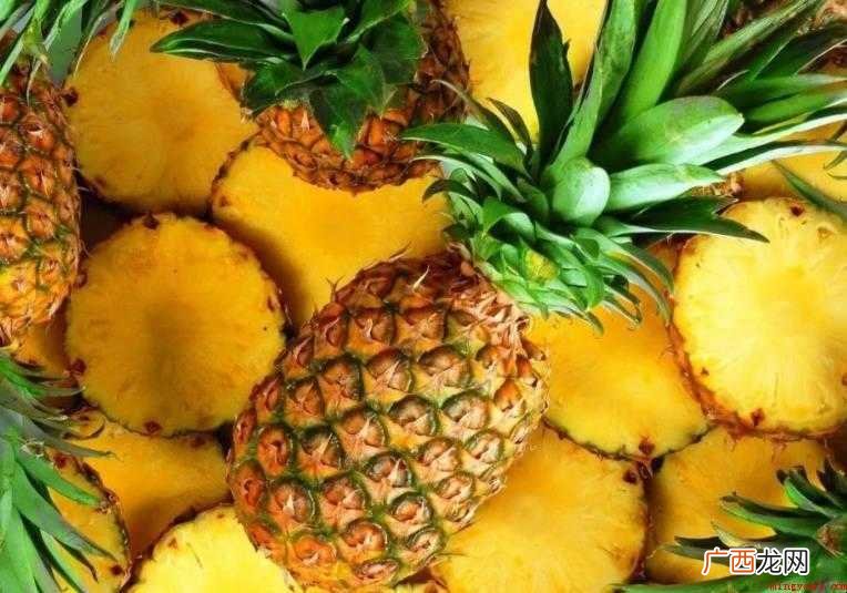 菠萝分布范围在哪里