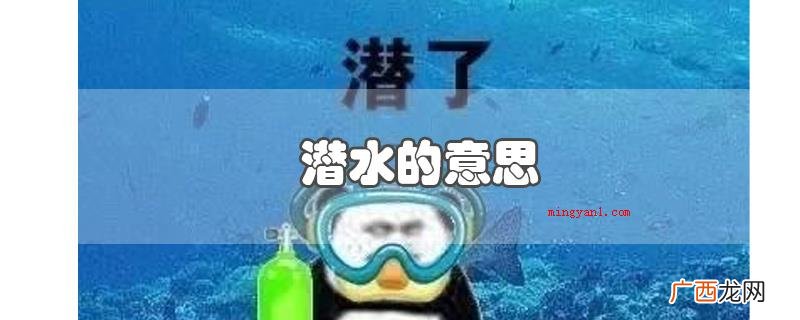 最开始指只看帖子而不发表意见 潜水的意思