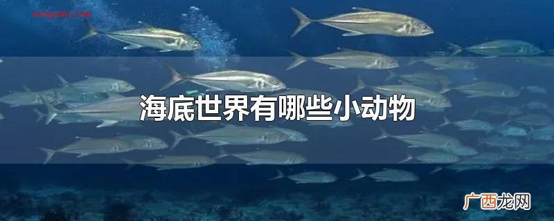 海底世界有什幺小动物? 海底世界有哪些小动物