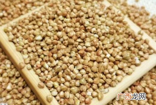 苦荞和米荞一号和米荞有什么区别,全黑麦是荞麦吗？
