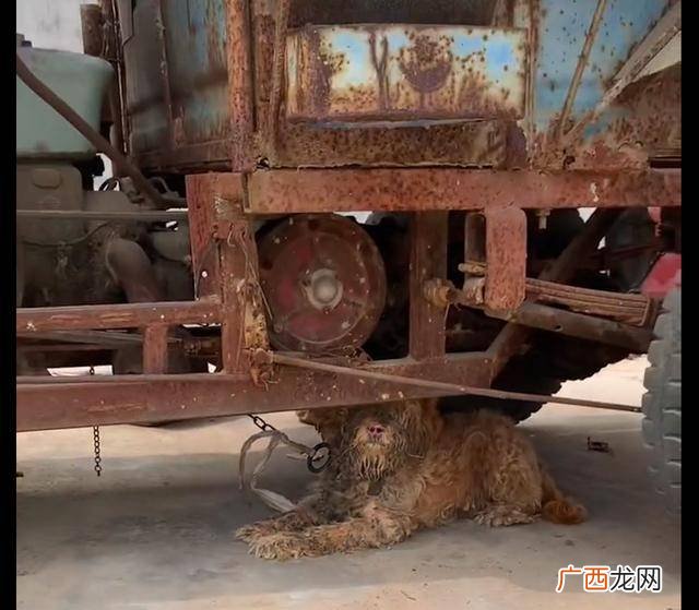 拴车的栓是哪个,拴住牛鼻子的那个工具叫啥名字来着？