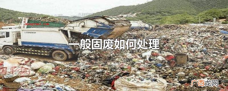 固废解决的方式 有分选解决 一般固废如何处理