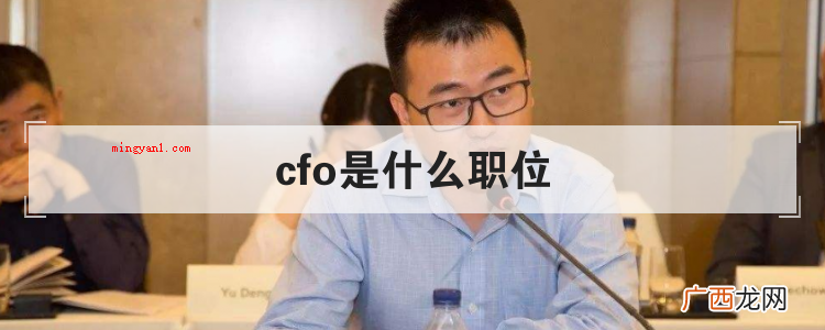 cfo代表什么意思职位? cfo是什么职位
