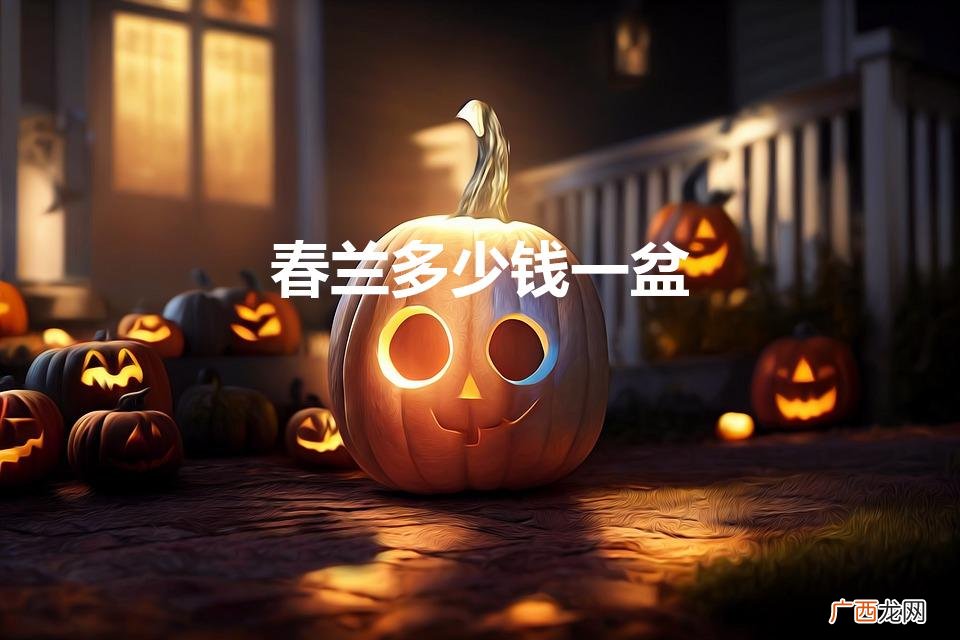 春兰多少钱一盆（春兰价值多少钱)