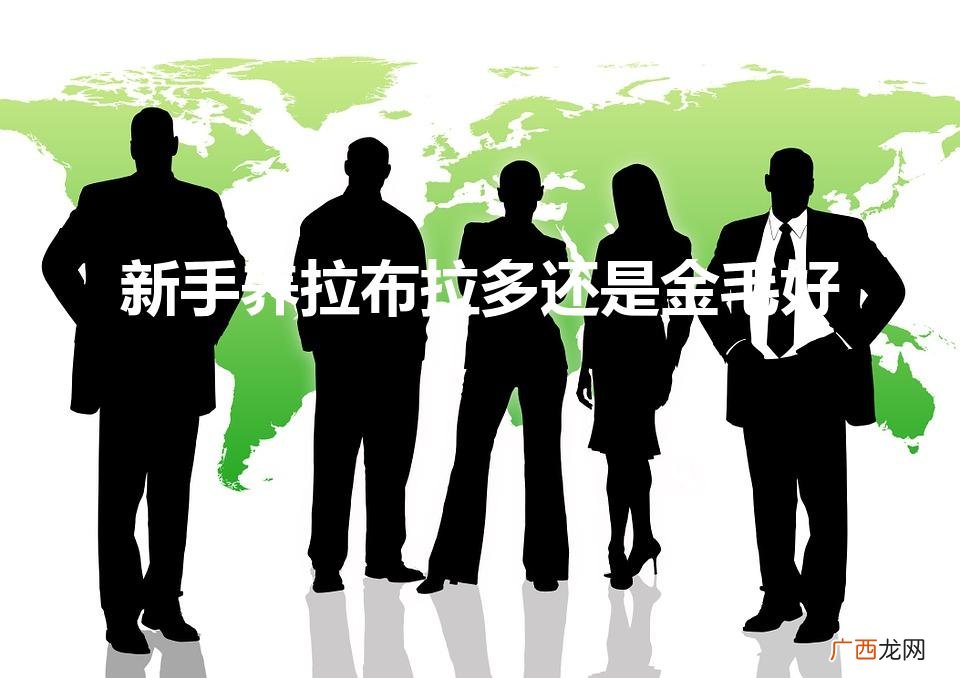 新手养拉布拉多还是金毛好（金毛跟拉布拉多的区别)