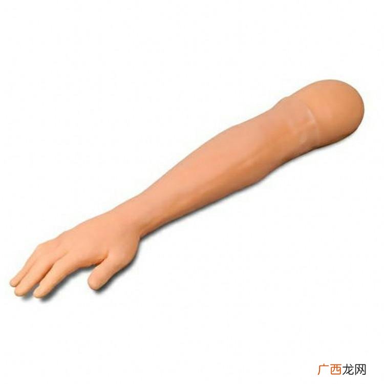手臂的结构都包括哪些,手和手臂之间叫什么？