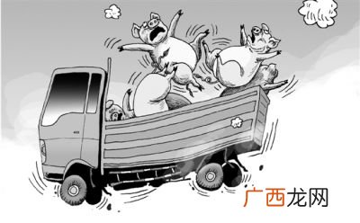 没带身份证怎么坐火车,没有身份证如何乘坐火车？