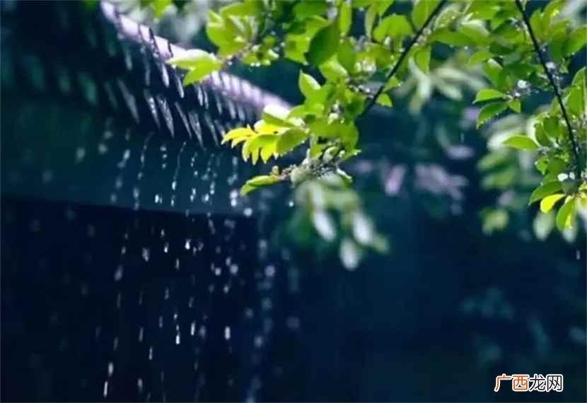 暴风骤雨、咄逼人、狂风暴雨、倾盆大雨和风细雨造句 什么的细雨