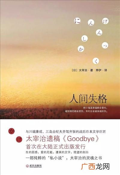 人间失格后面几篇故事什么意思,人间失格讲的什么故事？
