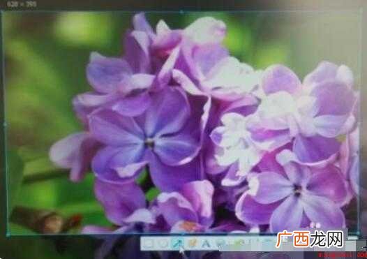 电脑截屏怎么操作