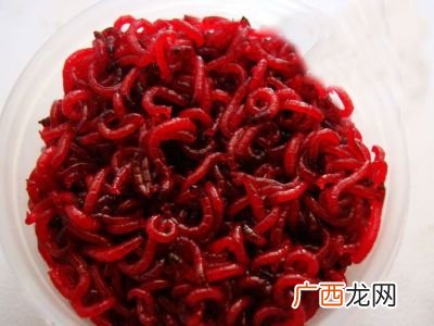 红虫颗粒怎么用,红虫颗粒怎么泡不开？