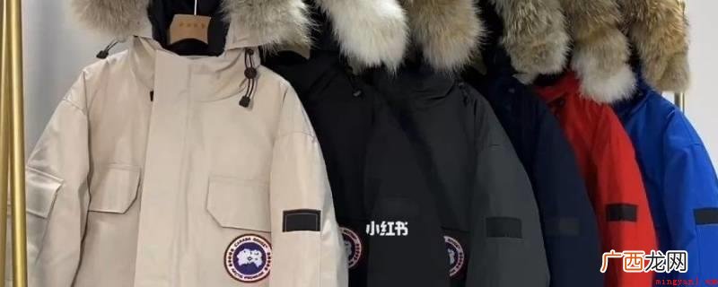 羽绒服中的填充料,又可分成白绒和灰绒 羽绒服上顽固污渍怎么去除