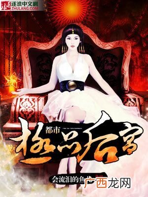 都市极品后宫,棒棒毛子全部作品集？