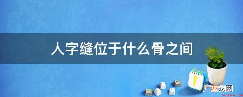 人字缝位于枕骨与顶骨中间 人字缝位于什么骨之间