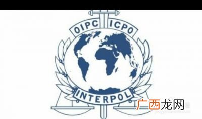 如何建立新型国际关系,万隆会议提出内容的特点？