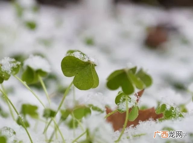 明澈是什么意思,与幻澈意思相近的词语？