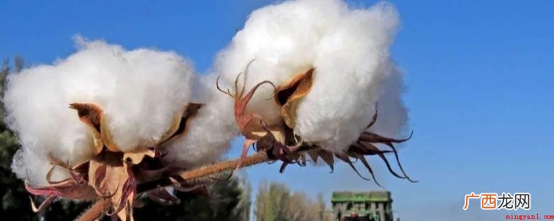 木材棉絮是归属于A类火灾 木材棉花是属于哪一类火灾