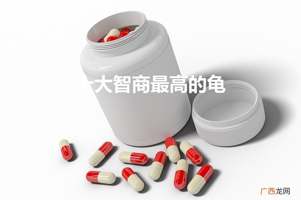 十大智商最高的龟（十大最值得养的龟)