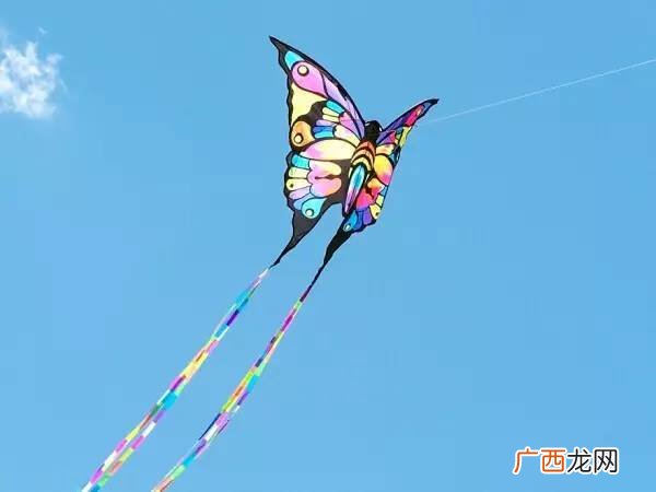 从小就一个人放风筝的人教你怎么放风筝,读了林庚的风筝体会到了什么？