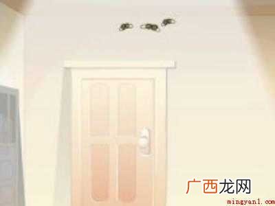 飞蛾怎么消灭