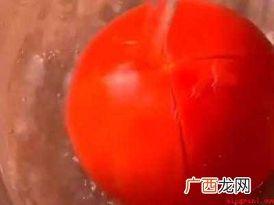 虾煲的做法